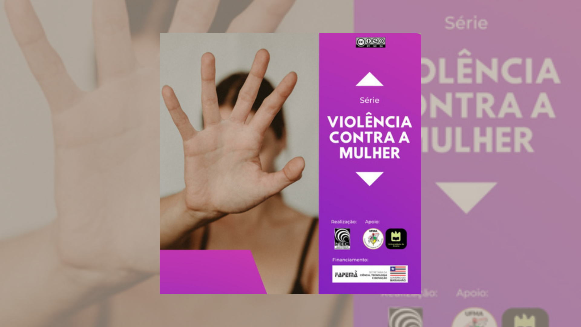 Violência Contra a Mulher